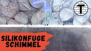 Schimmel in der Dusche Silikonfuge