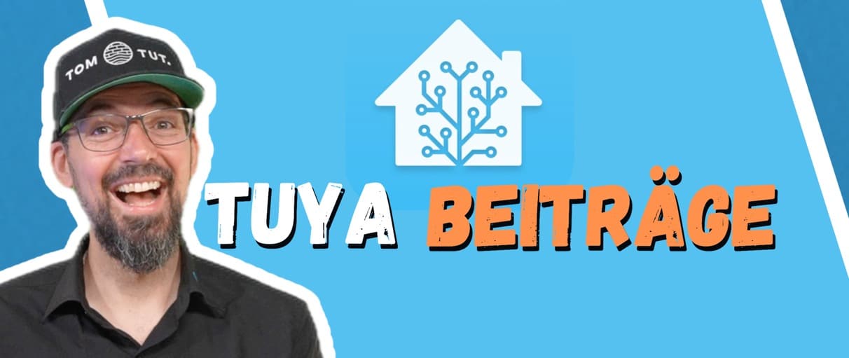 Tuya / Smart Life Übersicht